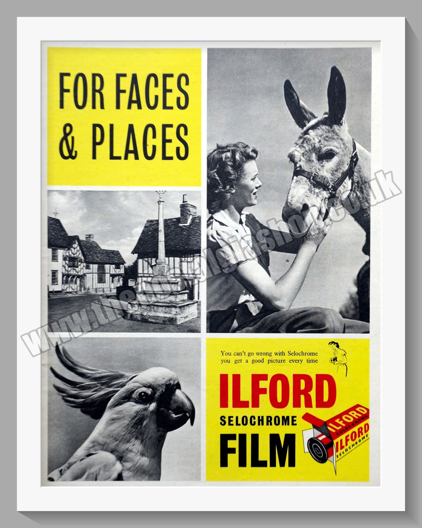 Ilford Selochrome Films. Original Advert 1952 (ref AD300678)