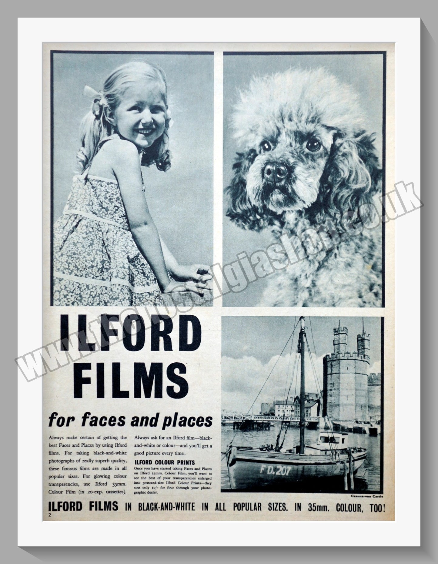 Ilford Film. Original Advert 1956 (ref AD300687)