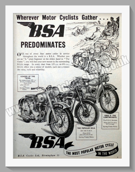 BSA Motorcycle Range. Original Advert 1951 (ref AD57145)