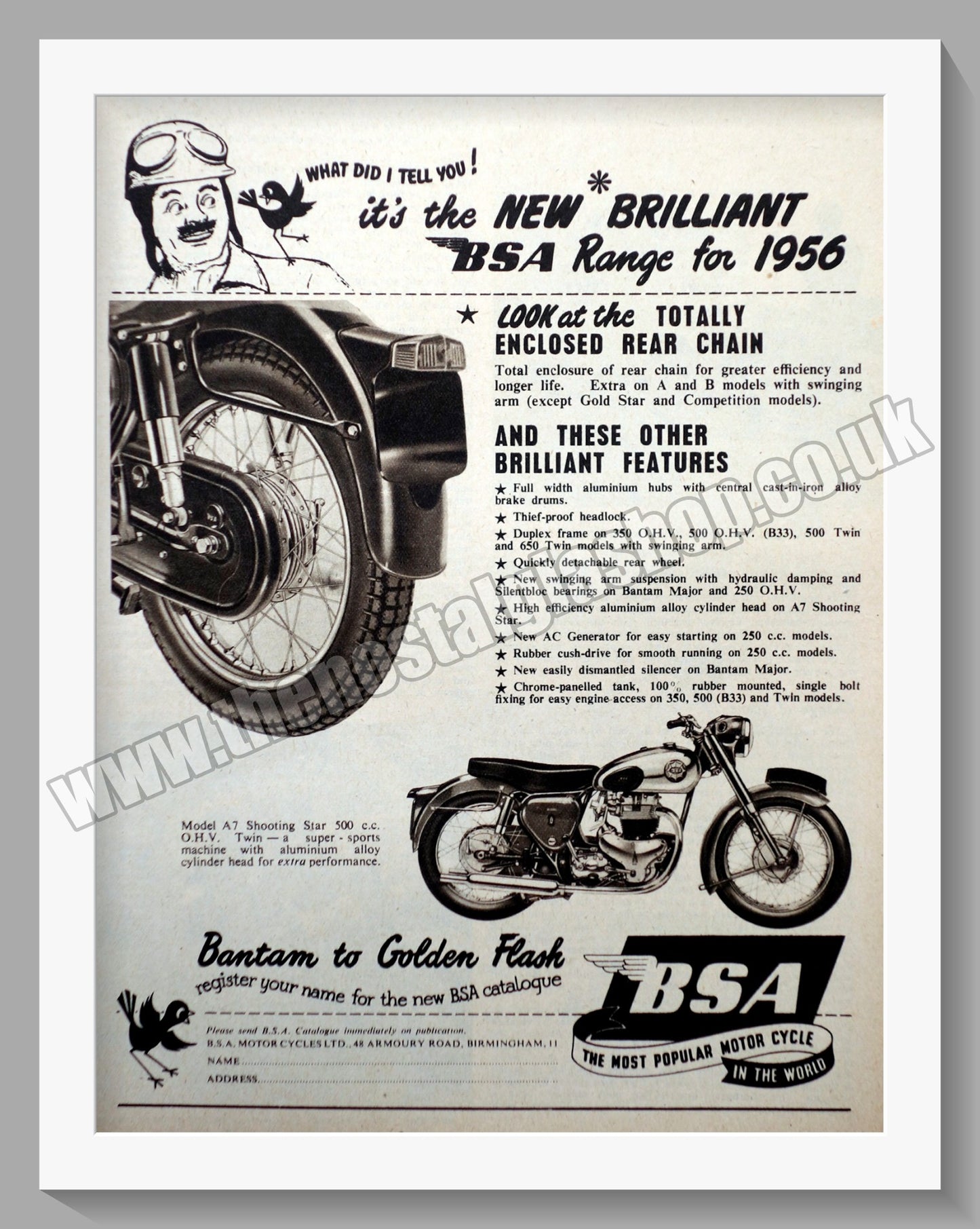 BSA Motorcycle Range. Original Advert 1955 (ref AD57148)