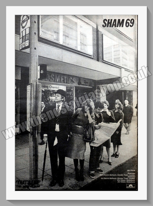 Sham 69 On Tour. Original Vintage Advert 1978 (ref AD14732)