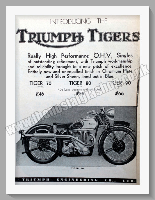 Triumph Tiger Motorcycles. Original advert 1936 (ref AD57924)