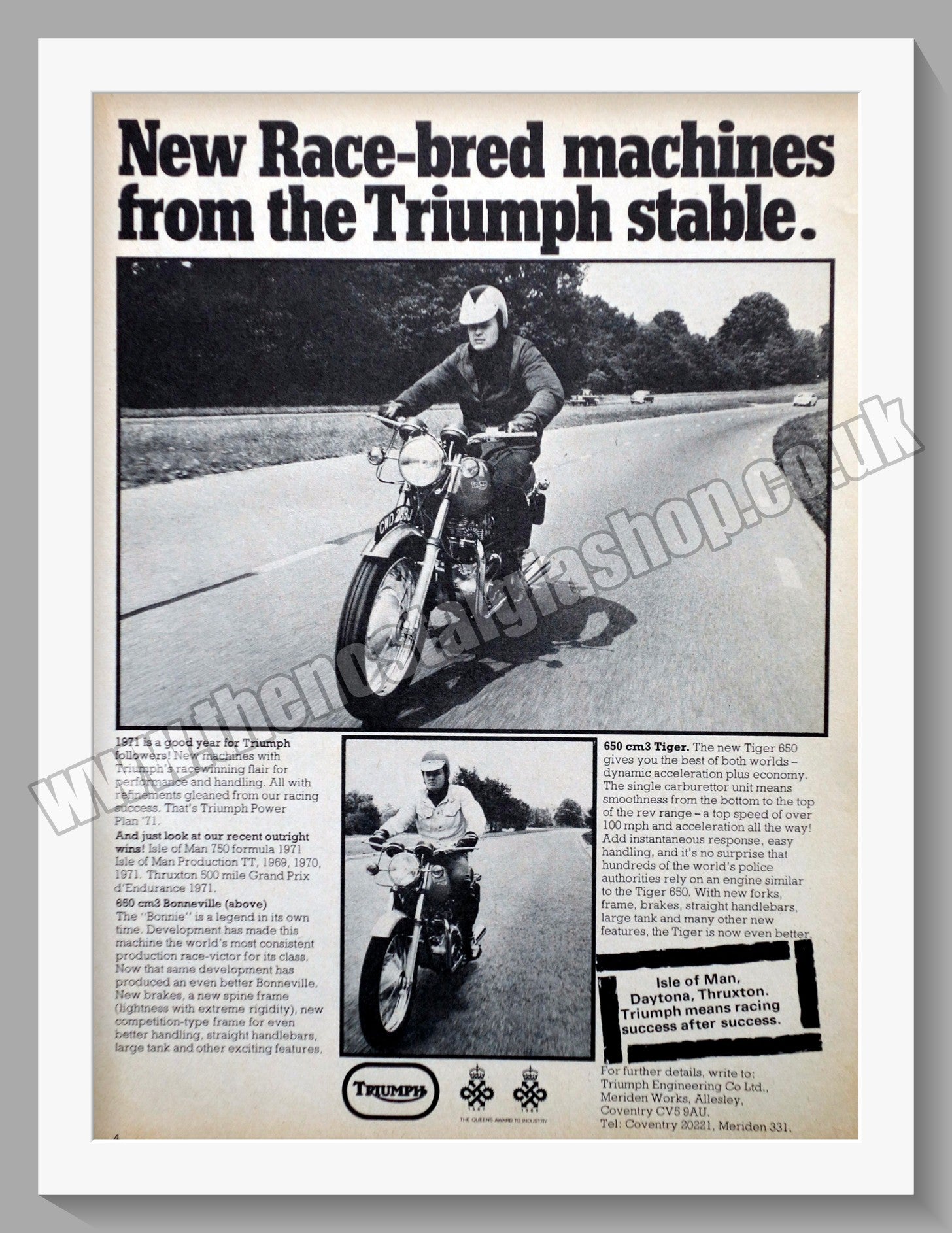 Triumph Motorcycles Race-Bred. Original advert 1971 (ref AD57943) – The ...