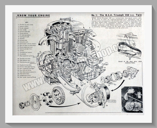 Triumph Twin 250cc Motorcycles. Original advert 1959 (ref AD58010)