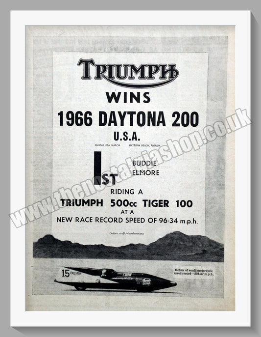Triumph Motorcycles Winner. Original advert 1966 (ref AD58067)