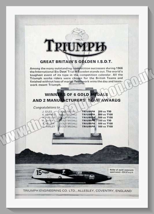 Triumph Motorcycles Winner. Original advert 1966 (ref AD58068)