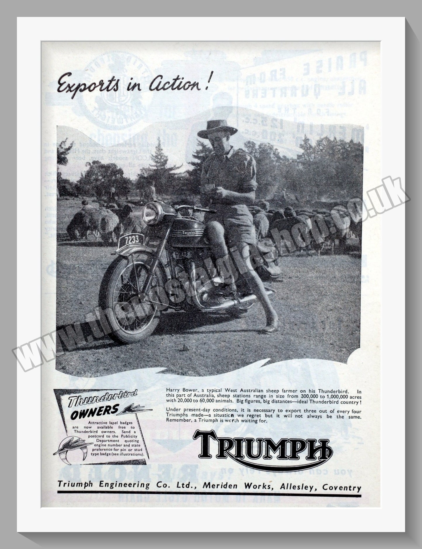 Triumph Thunderbird Motorcycles. Original advert 1950 (ref AD58088)