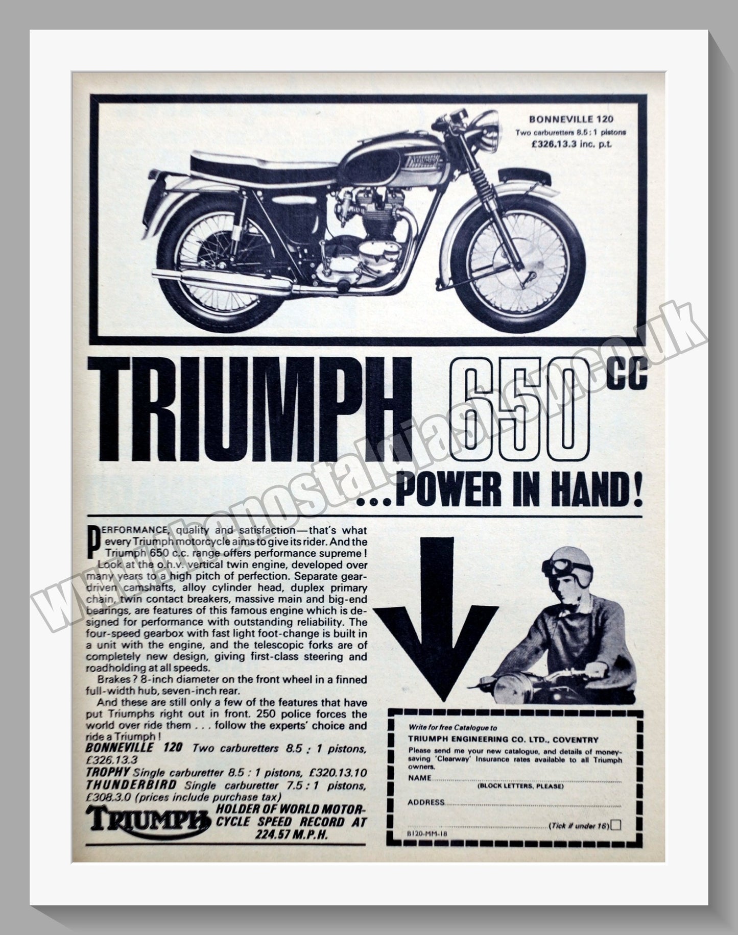 Triumph 650cc Motorcycles. Original advert 1964 (ref AD58102)