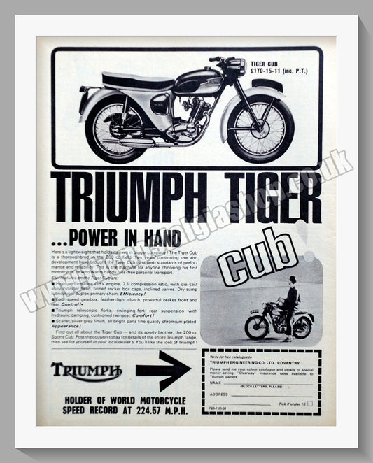 Triumph Tiger Cub Motorcycles. Original advert 1964 (ref AD58110)