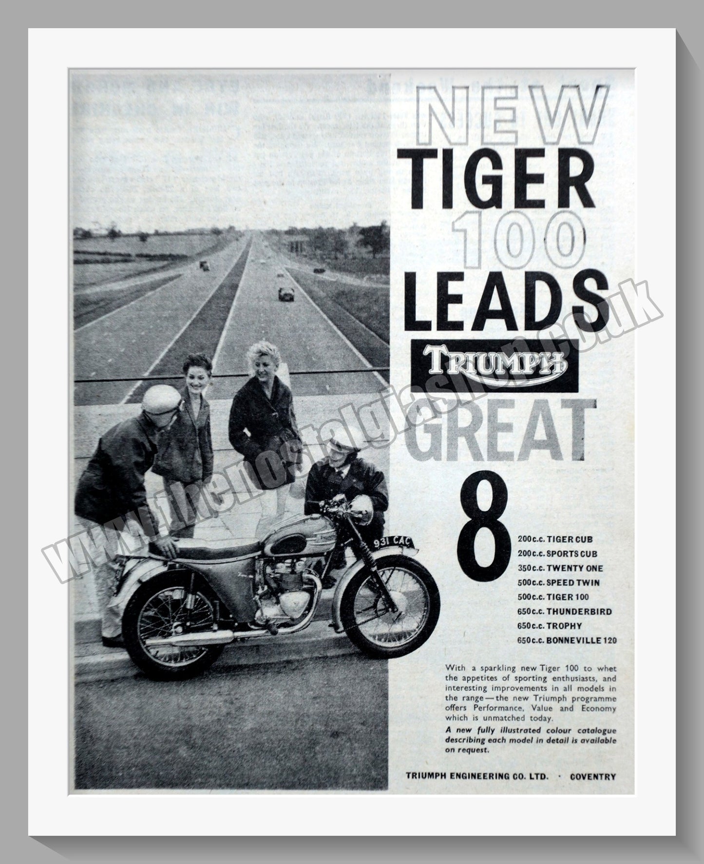 Triumph Tiger 100 Motorcycles. Original advert 1961 (ref AD58112)