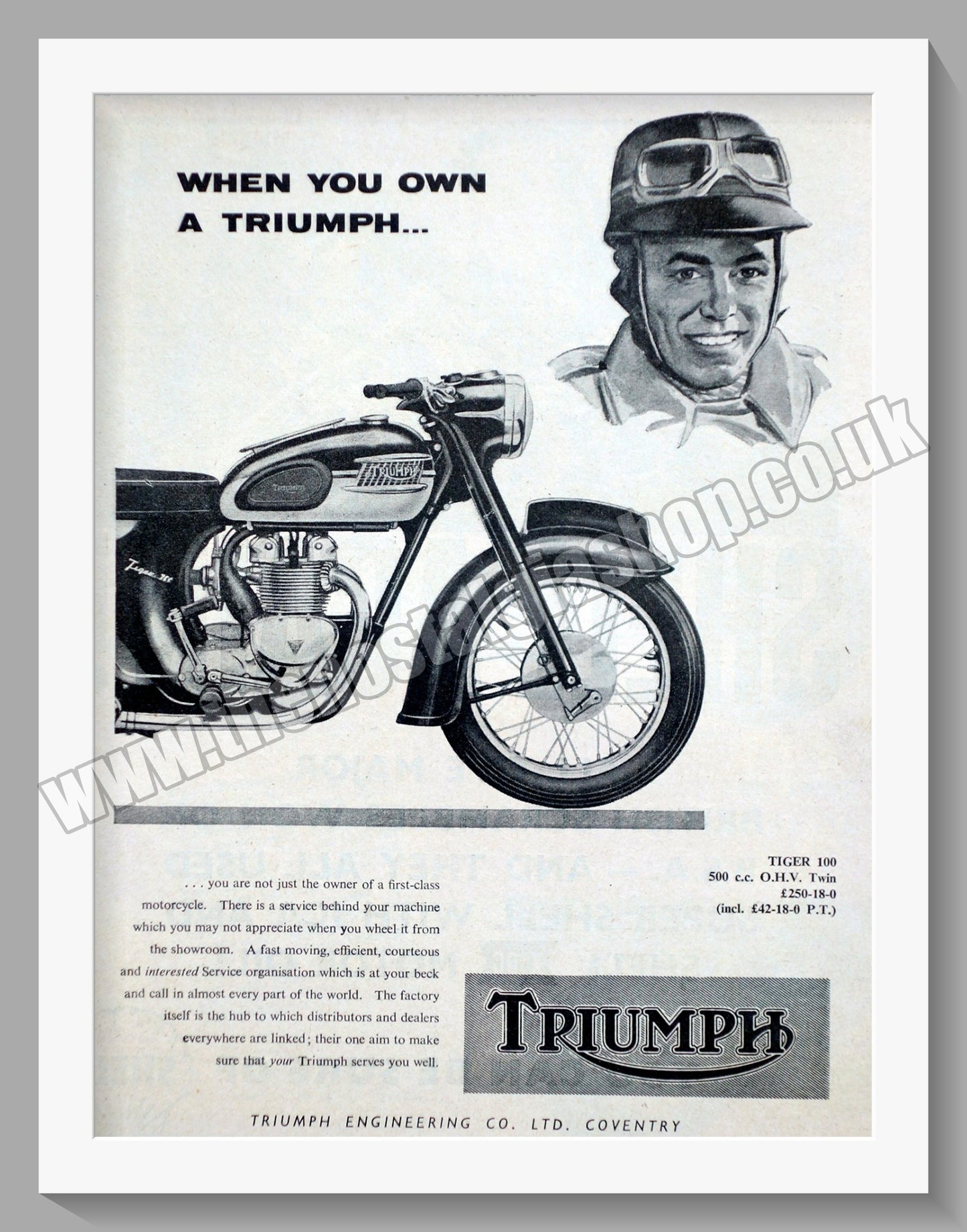 Triumph Tiger 100 Motorcycles. Original advert 1960 (ref AD58117)