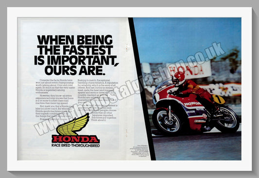 Honda Race Bred Motorcycles. Original Advert 1977 (ref AD58196)