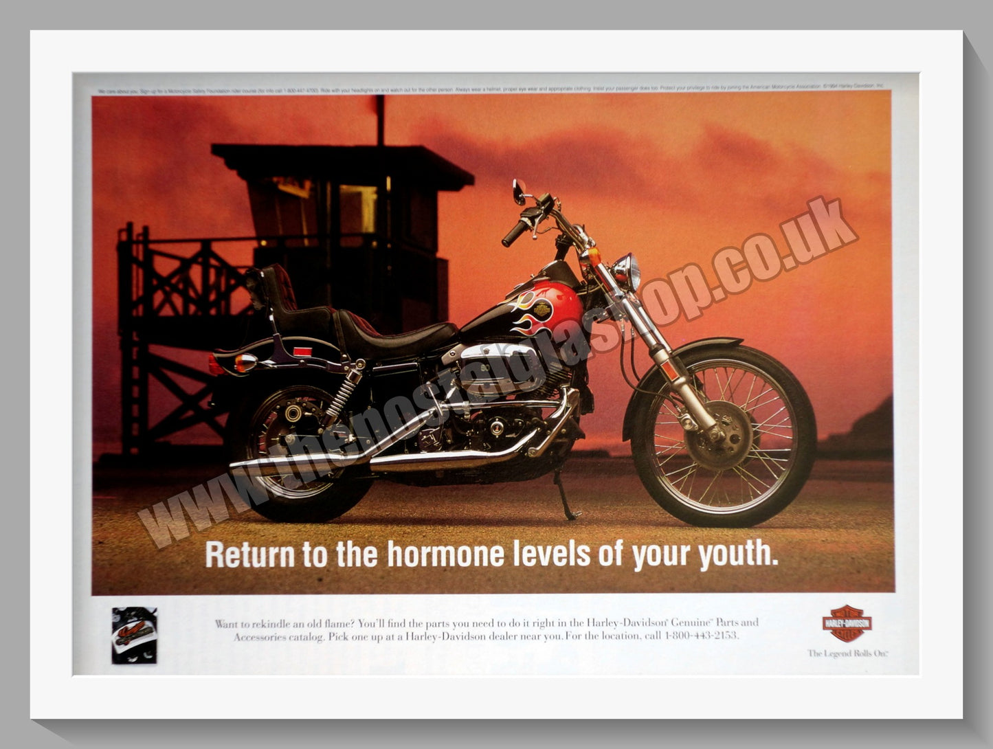 Harley Davidson Motorcycles. Original Advert 1995 (ref AD58448)