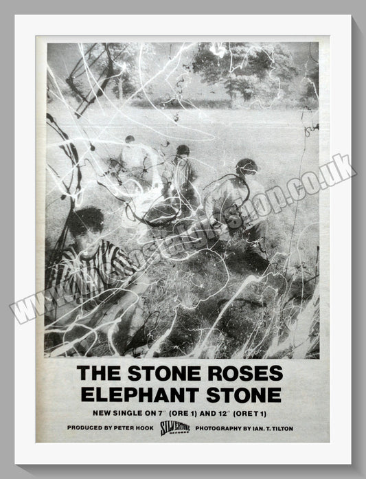 Stone Roses (The) Elephant Stone.  Original Advert 1988 (ref AD14856)