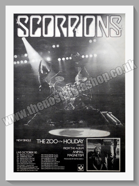 Scorpions The Zoo.  Original Advert 1980 (ref AD14907)