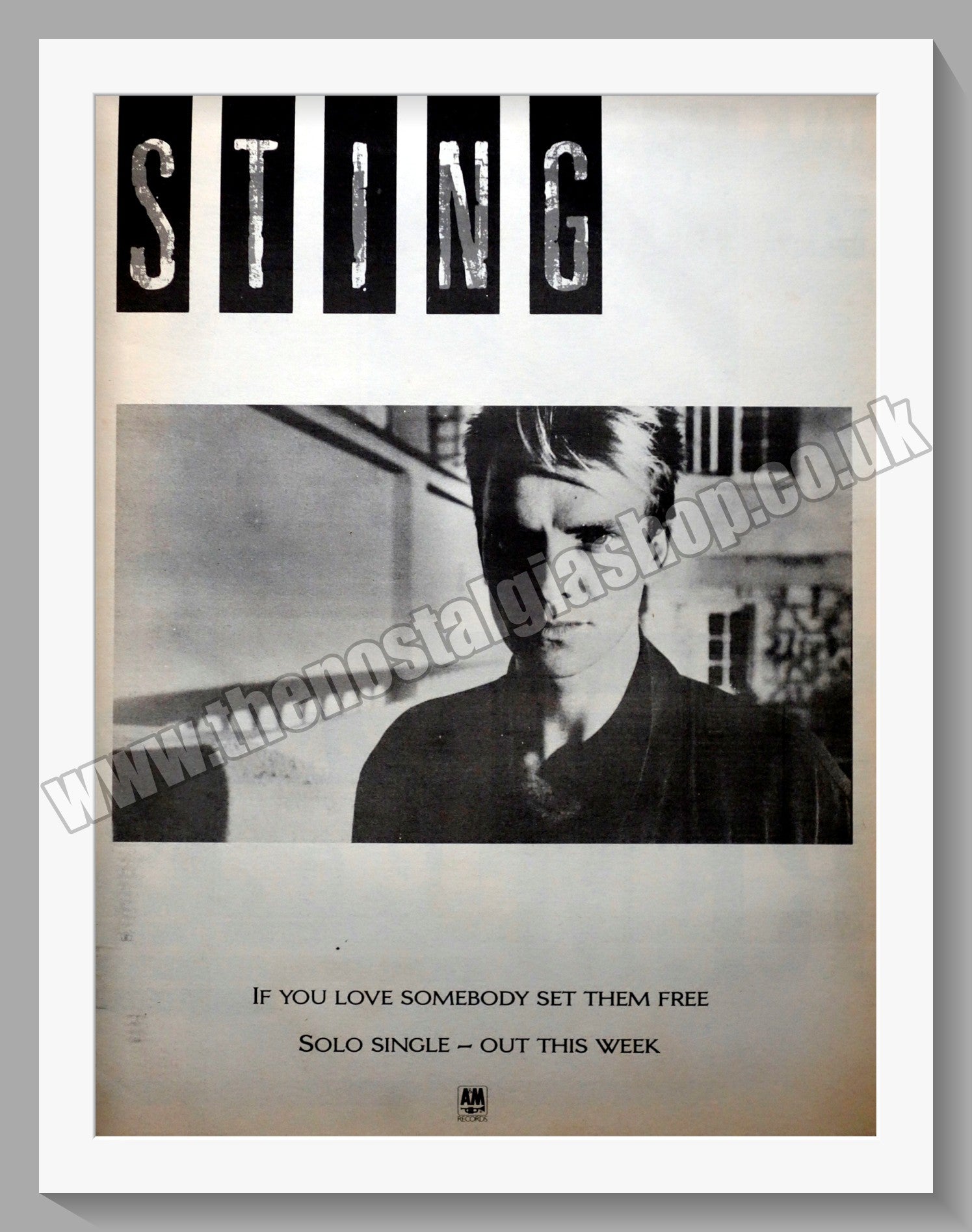 Sting If You Love Somebody Set Them Free. Original Advert 1985 (ref AD ...