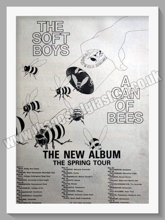 Soft Boys (The) A Can Of Bees. Original Advert 1979 (ref AD14961)