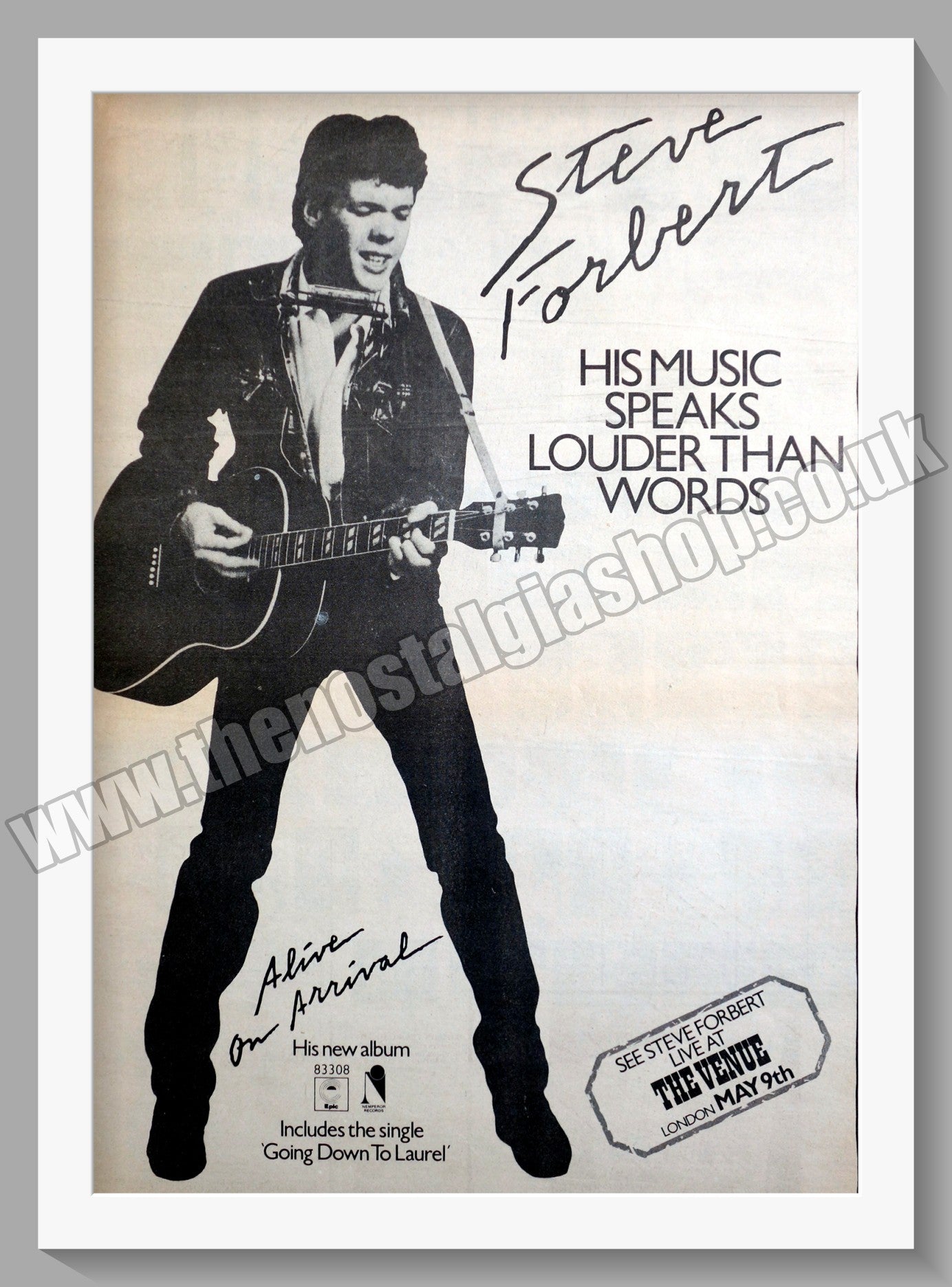 Steve Forbert Alive On Arrival. 1979 Large Original Advert (ref AD15079)