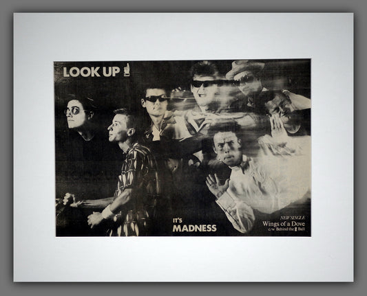 Madness. Wings Of A Dove. Original Advert 1983 (ref AD16002m)