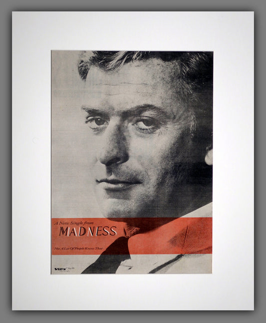 Madness. Not A Lot Of People Know That. Original Advert 1984 (ref AD16003m)