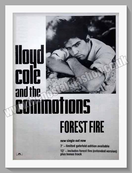 Lloyd Cole And The Commotions Forest Fire. 1984 Large Original Advert (ref AD15198)