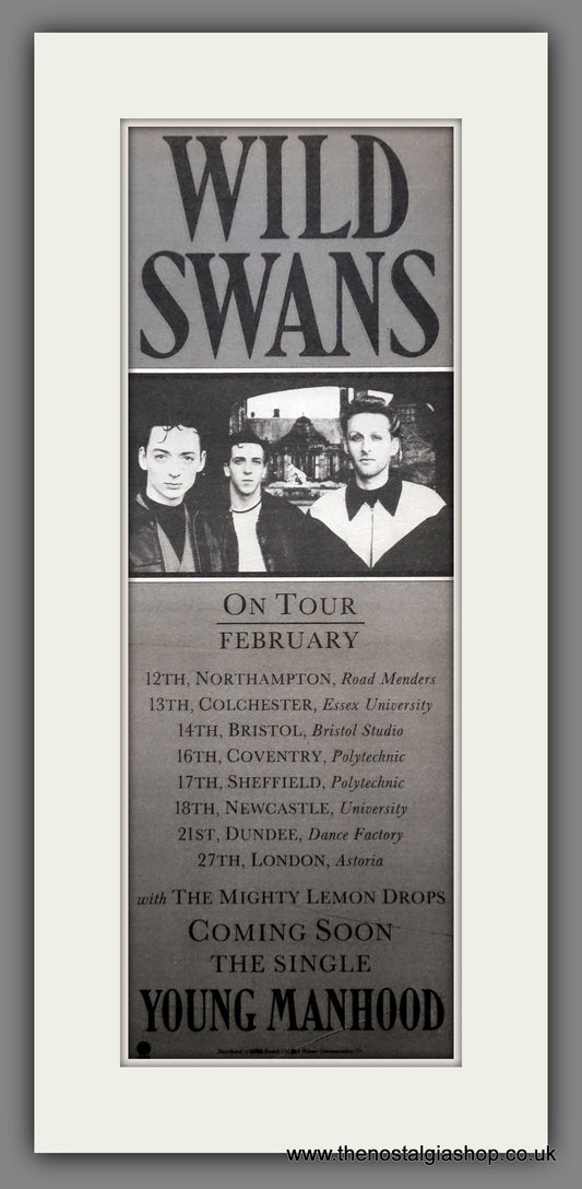 Wild Swans UK Tour. Vintage Original Advert 1988 (ref AD200434)