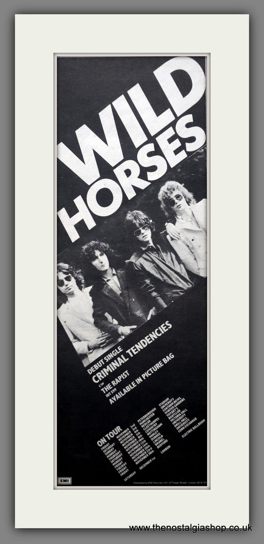 Wild Horses. Criminal Tendencies. UK Tour. Vintage Original Advert 1979 (ref AD200452)