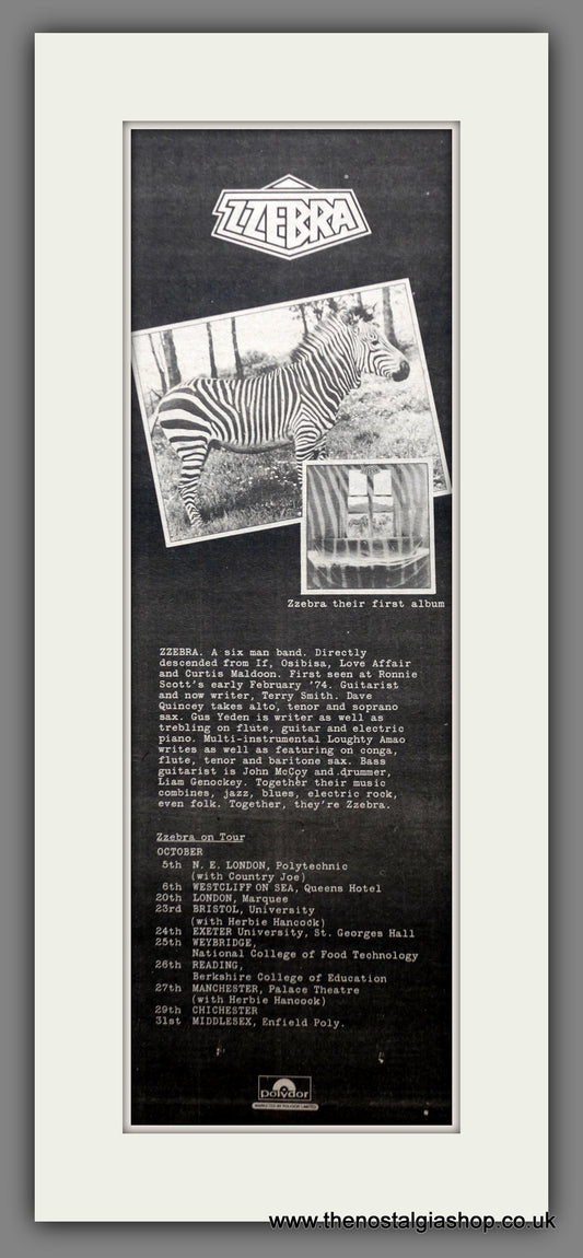 ZZebra Debut Album, UK Tour Dates. Original Advert 1974 (ref AD200496)