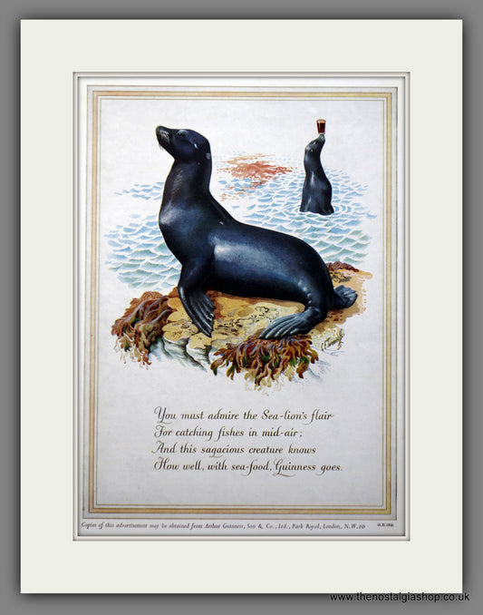 Guinness. Sea Lion. 1952 Original Advert  (ref AD60859)