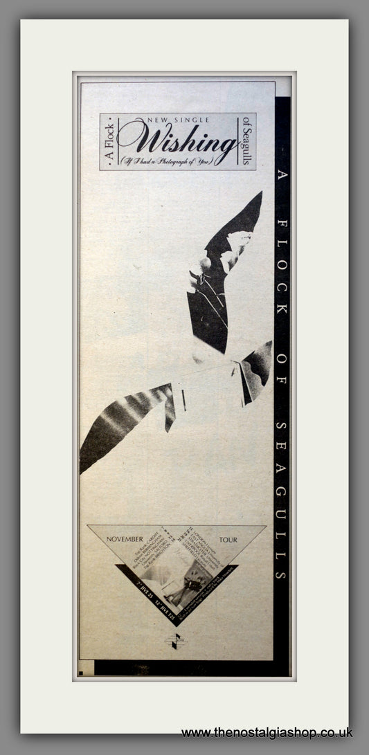 A Flock Of Seagulls Wishing. Original Advert 1982 (ref AD200512)