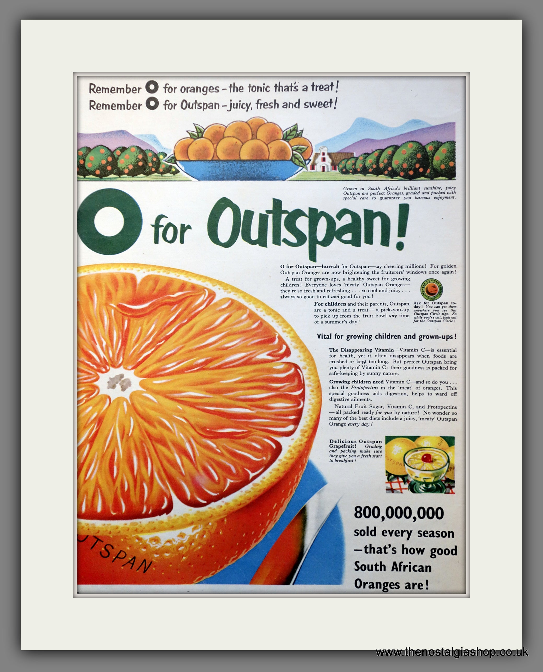 Outspan Oranges. Original Advert 1954 (ref AD301056) – The Nostalgia Shop