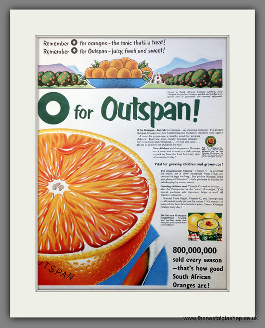 Outspan Oranges. Original Advert 1954 (ref AD301056)