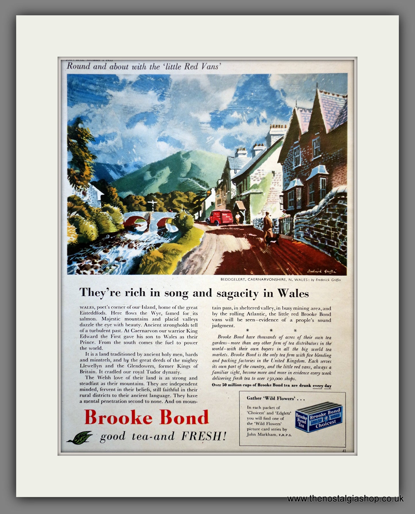 Brooke Bond Tea. Original Advert 1955 (ref AD300973)