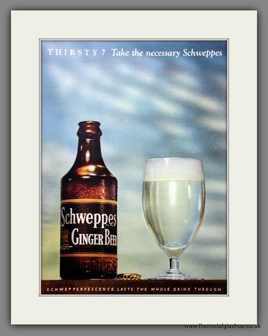 Schweppes Ginger Beer. Original Advert 1952 (ref AD301037)