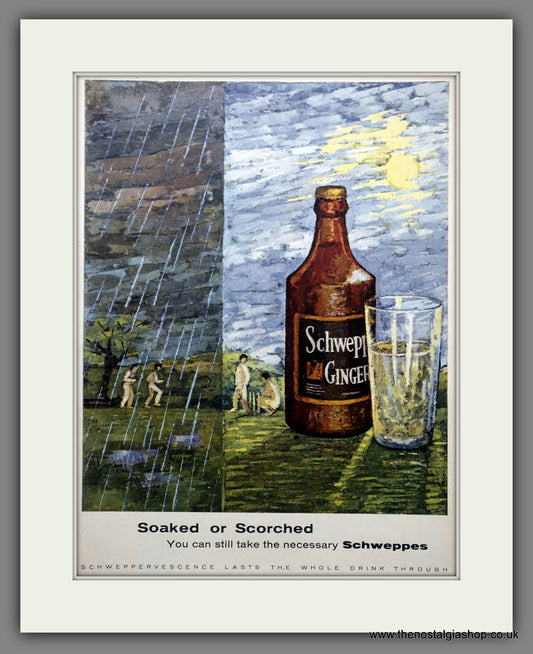 Schweppes Ginger Beer. Original Advert 1957 (ref AD301041)