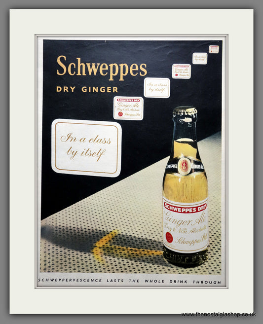 Schweppes Dry Ginger Ale. Original Advert 1955 (ref AD301042)
