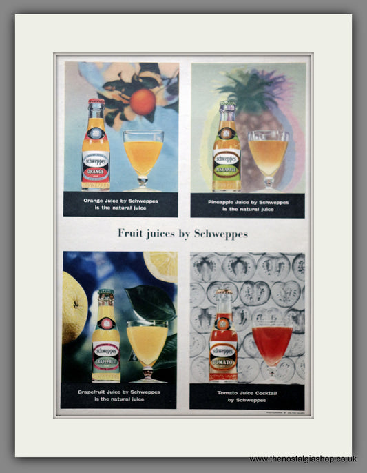 Schweppes Fruit Juices. Original Advert 1955 (ref AD301044)