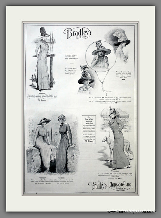 Bradley & Sons. Chepstow Place. Ladies Fashion. Large Original Advert 1912 (ref AD15450)
