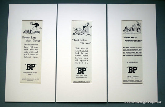 BP Anglo-Persian Oil Co. Ltd. Set of 3 Large Original Adverts 1928 (ref AD200577M)