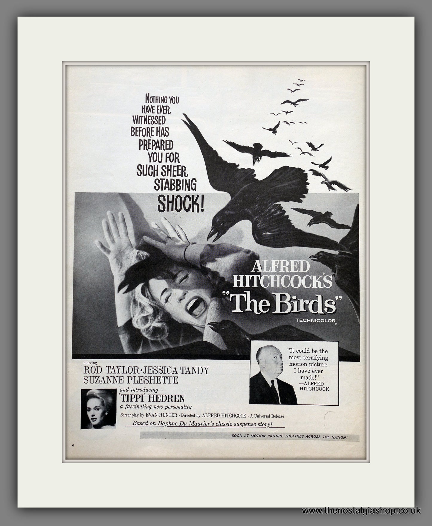 Birds (The) Alfred Hitchcock. Original Advert 1963 (ref AD301195)