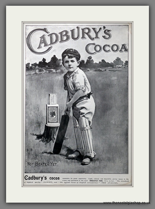Cadbury's Cocoa. Original Advert 1902 (ref AD15586)
