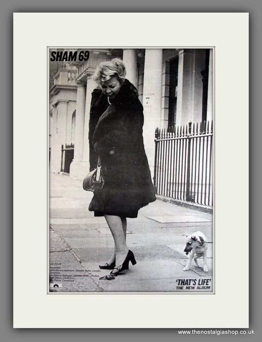 Sham 69. That's Life. Vintage Advert 1978 (ref AD14133)