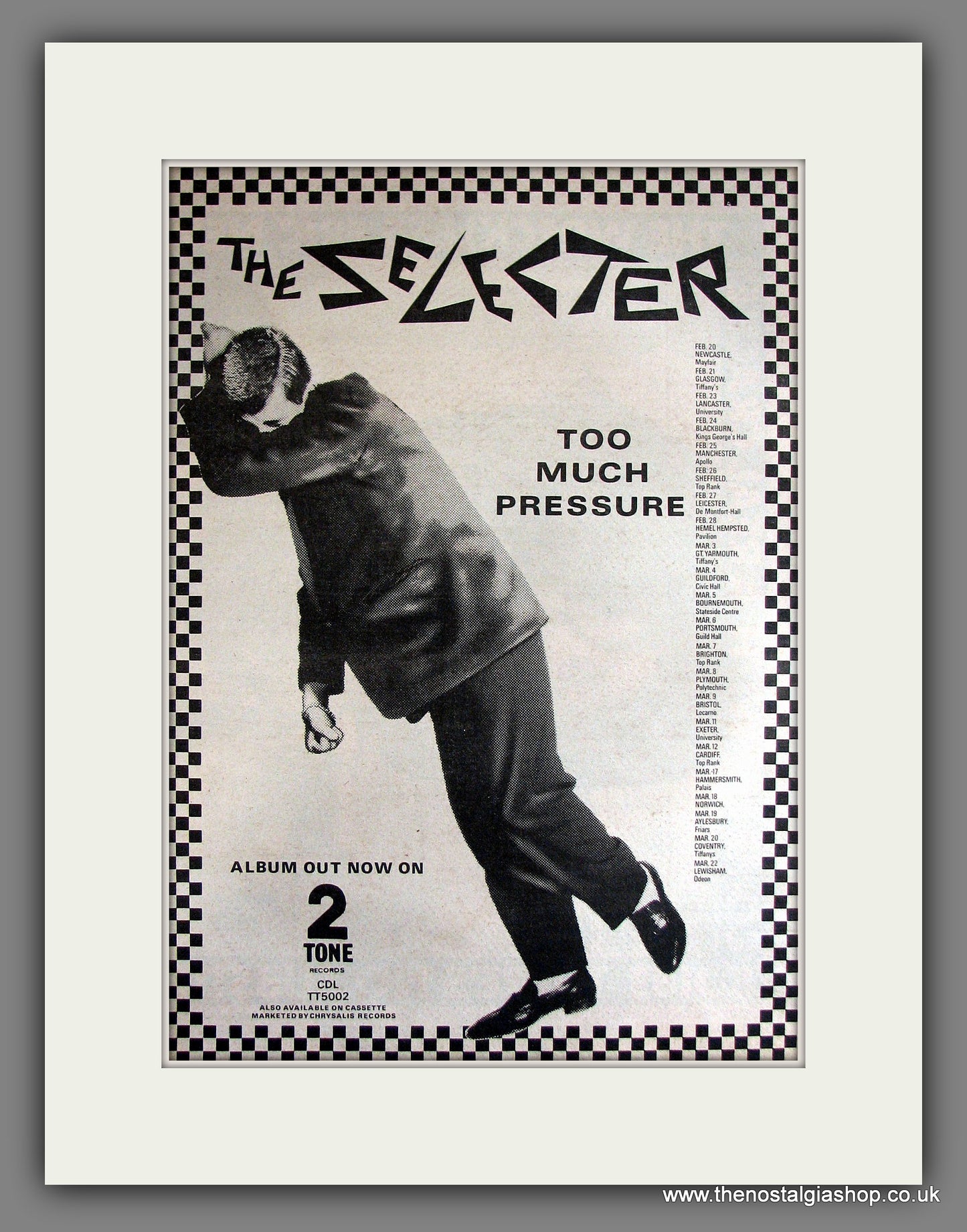 Selecter (The) Too Much Pressure. Vintage Advert 1980 (ref AD14134)