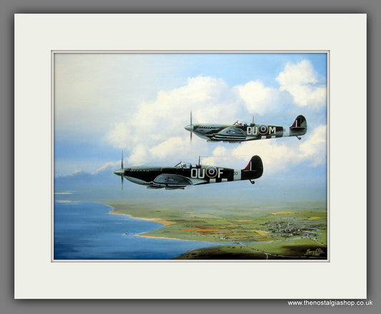 Spitfires Mk IX June 1944. Mounted Aircraft print (ref N17)