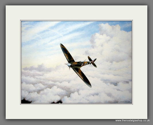 Spitfire MkV Bader's Bus. Mounted Aircraft print (ref N31)