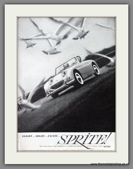 Austin Healey Sprite. 1959 Original American Advert (ref AD52082)