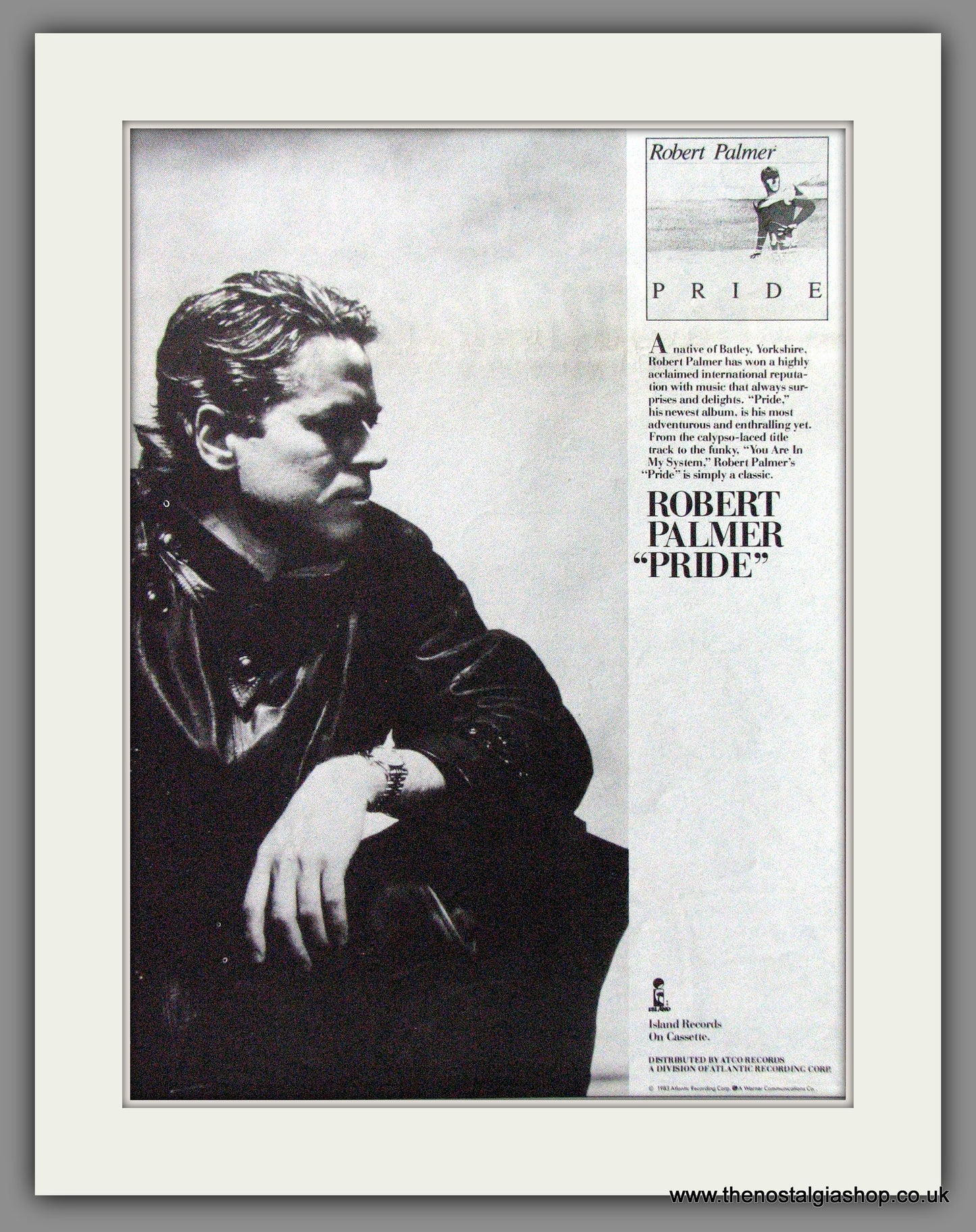 Robert Palmer, Pride. 1983 Original Advert (ref AD54506)
