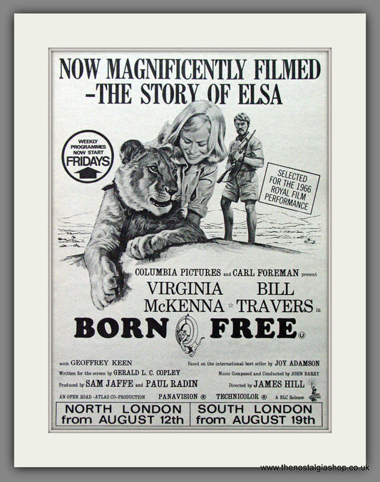 Born Free. Original Advert 1966 (ref AD53653)