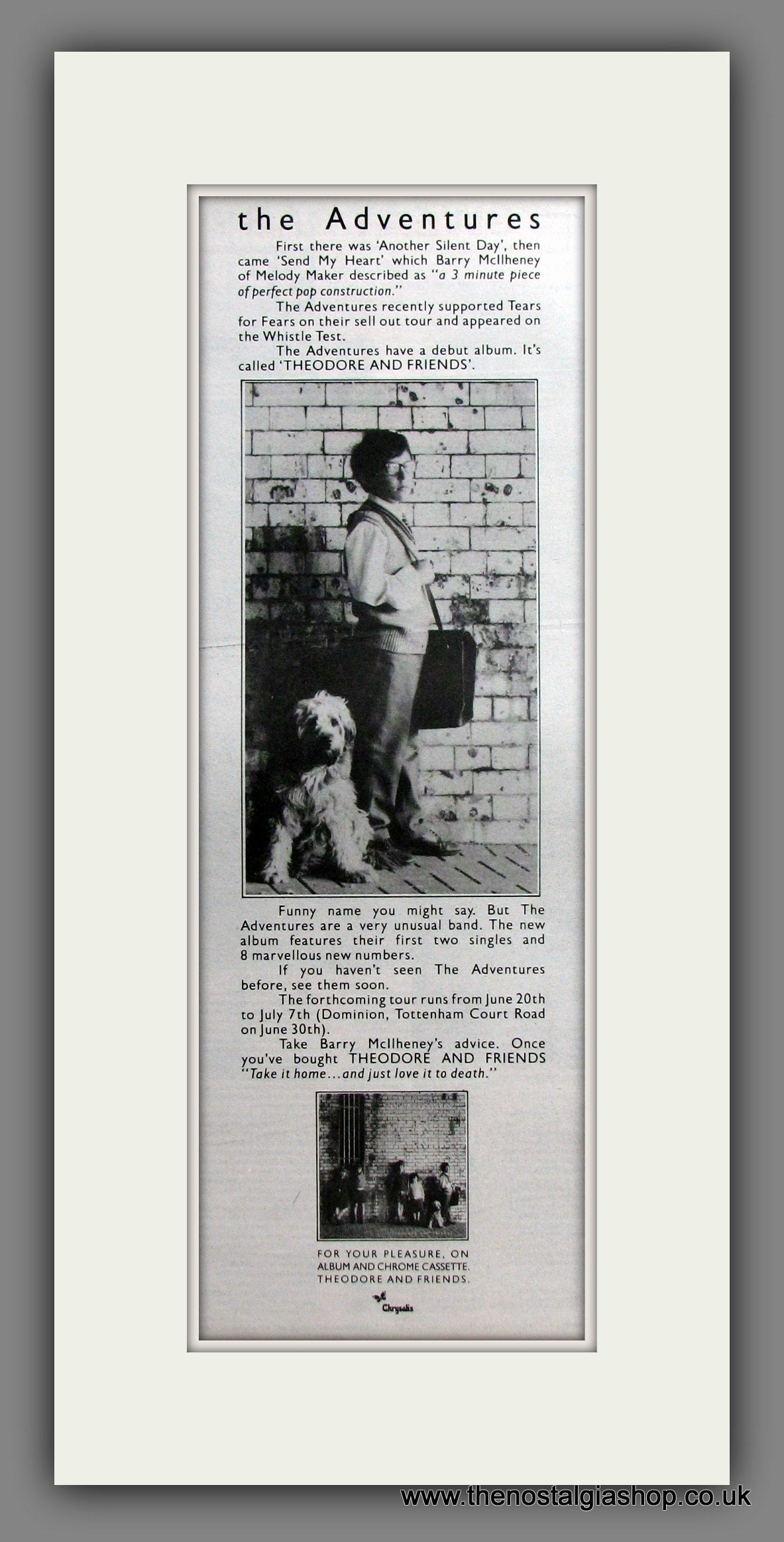 Adventures (The) Theodore And Friends. Original Advert 1985 (ref AD11500)