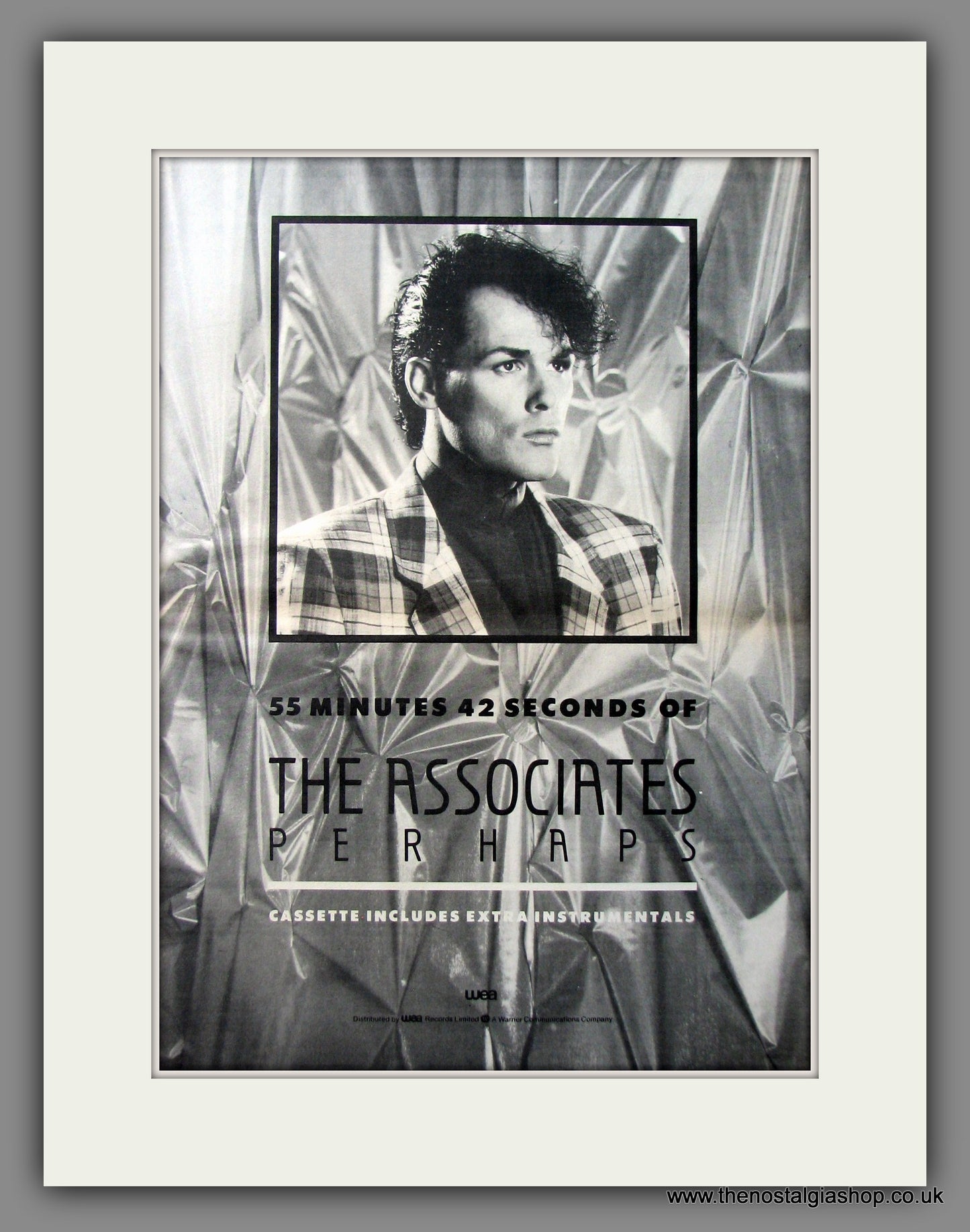 Associates (The). Perhaps. Original Advert 1985 (ref AD11553)